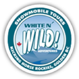 White N' Wild Snowmobile Tours, Golden