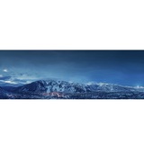 Steven Shane, Aspen