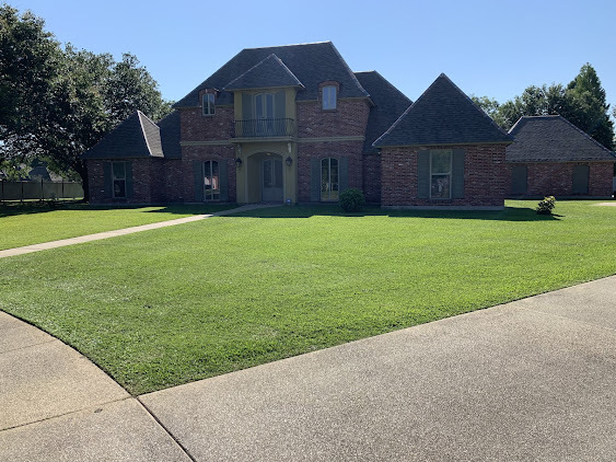  Profile Photos of Hernandez Lawnscape LLC 10801 Yarlin St - Photo 2 of 10