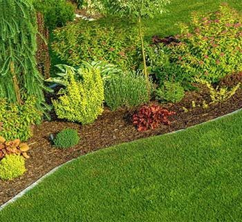  Profile Photos of Hernandez Lawnscape LLC 10801 Yarlin St - Photo 6 of 10
