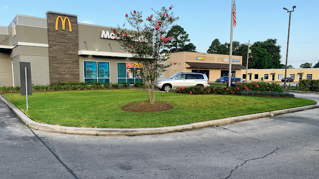  Profile Photos of Hernandez Lawnscape LLC 10801 Yarlin St - Photo 8 of 10