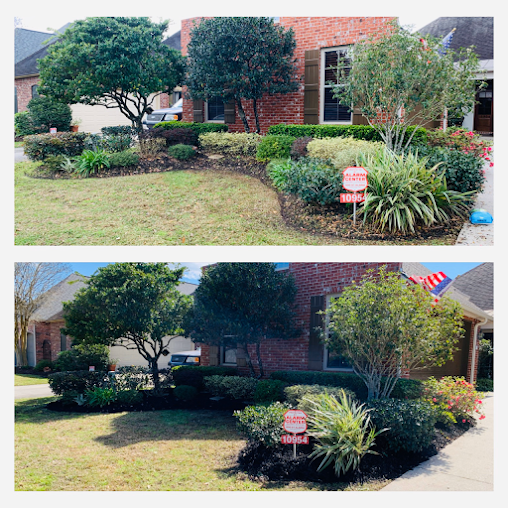  Profile Photos of Hernandez Lawnscape LLC 10801 Yarlin St - Photo 9 of 10