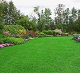 Hernandez Lawnscape LLC, Denham Springs
