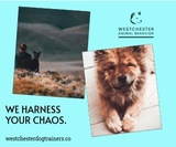  Westchester Animal Behavior 72 Chapel Rd 