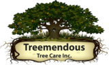 Treemendous Tree Care Inc., Wilmington