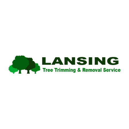  Profile Photos of Lansing Tree Trimming & Removal Service 105 W Allegan St - Photo 1 of 3
