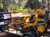  Long Grind Stump Grinding 311 Yaupon Dr 