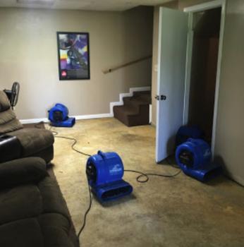  Profile Photos of Phillips Restoration Services 402 Windmill Drive - Photo 4 of 4
