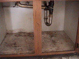 ENVIROLIZE MOLD TESTING AND REMOVAL, ENVIROLIZE MOLD TESTING AND REMOVAL, EATONTOWN