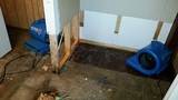 Deep Water Emergency Services & Restoration 12020 Shamrock Plaza, Ste 200 