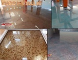  Euro Painting, Inc. 5077 Fruitville Rd Unit 109 PMB 232 