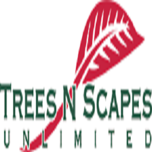  Profile Photos of Trees N Scapes Unlimited N/A - Photo 1 of 1