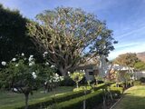  Trees N Scapes Unlimited N/A 