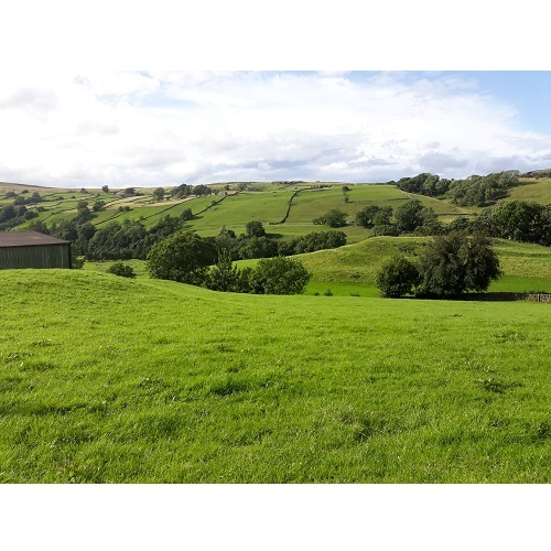  Profile Photos of Low Row Bunk Barns and Scabba Wath Caravan Park Low Whita Farm, Low Row - Photo 4 of 4