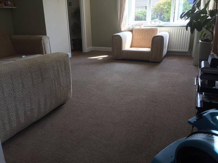 Carpet Cleaning Service in Clacton-On-Sea of Cowell's Cleaning Services 73 Peter Bruff Ave - Photo 19 of 29