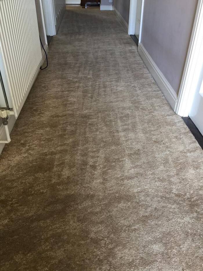  Carpet Cleaning Service in Clacton-On-Sea of Cowell's Cleaning Services 73 Peter Bruff Ave - Photo 13 of 29