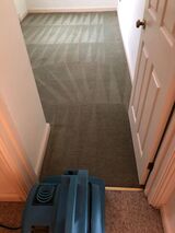  Cowell's Cleaning Services 73 Peter Bruff Ave 