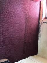  Cowell's Cleaning Services 73 Peter Bruff Ave 