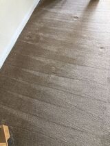  Cowell's Cleaning Services 73 Peter Bruff Ave 