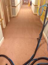  Cowell's Cleaning Services 73 Peter Bruff Ave 