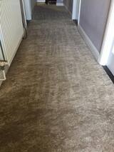  Cowell's Cleaning Services 73 Peter Bruff Ave 