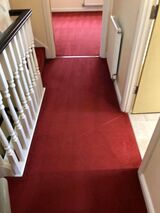  Cowell's Cleaning Services 73 Peter Bruff Ave 