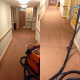  Cowell's Cleaning Services 73 Peter Bruff Ave 