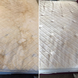  Cowell's Cleaning Services 73 Peter Bruff Ave 