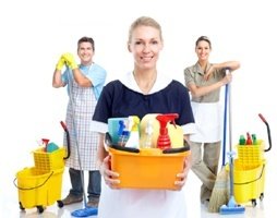  Profile Photos of Cleaning Services Toronto Pro 1075 Bay Street #102A - Photo 1 of 1