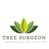  Tree Surgeon Essex 20b Homestead Gardens 