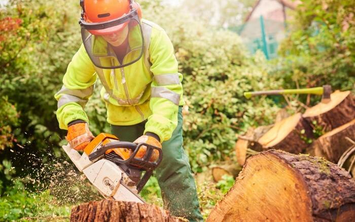  Profile Photos of Star Tree Surgeon Watford 206 Hagden Ln - Photo 4 of 7