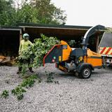  Star Tree Surgeon Watford 206 Hagden Ln 