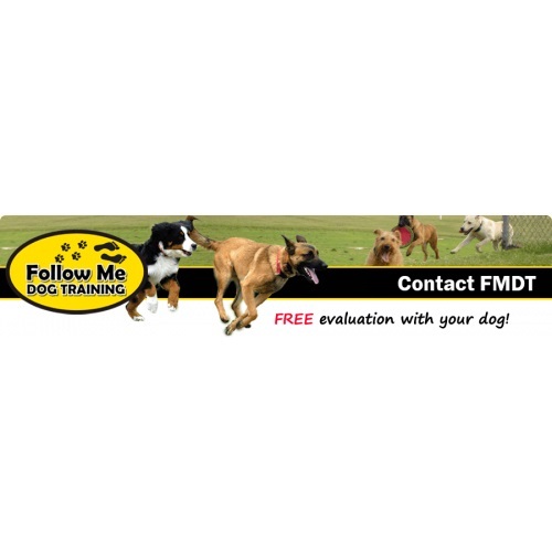  Profile Photos of Follow Me Dog Training Serving area - Photo 1 of 3