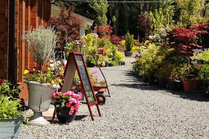  Profile Photos of Down to Earth Gardens & Nursery 1096 Derrien Pl - Photo 1 of 4