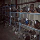  United Foreign & Domestic Auto & Truck Parts 1115 Somerset Rd 