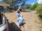  Wii Care Plus 2887 Alabama Hwy SW 