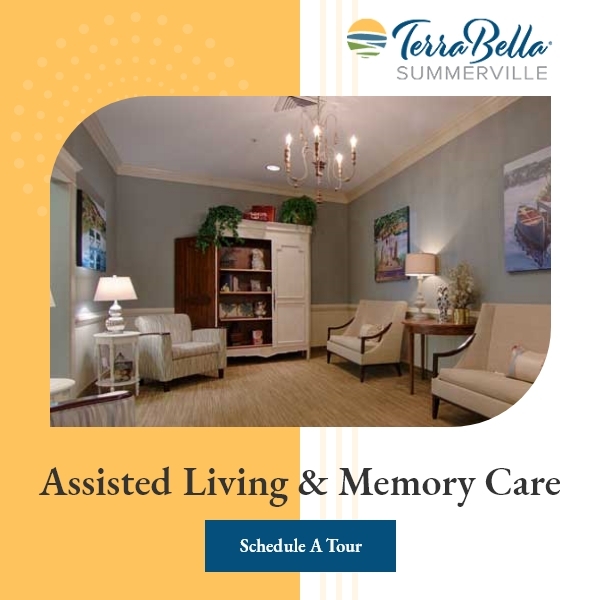  New Album of TerraBella Summerville 335 Midland Pkwy - Photo 2 of 3