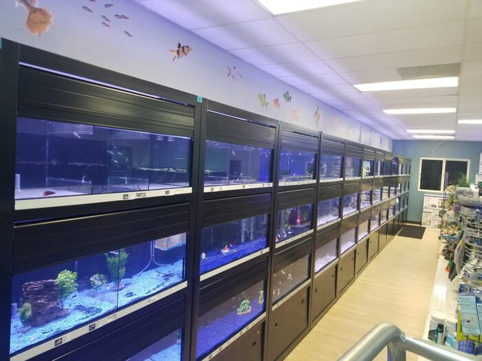  Profile Photos of Fish Store | Fish Tanks | Freshwater & Saltwater Fish 5708 Commerce Blvd - Photo 20 of 23
