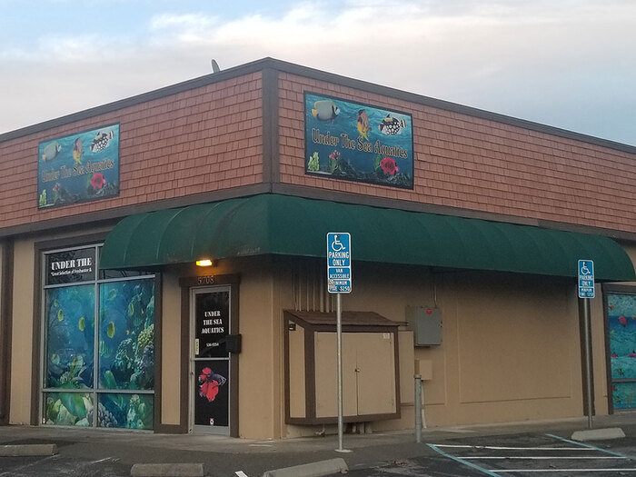  Profile Photos of Fish Store | Fish Tanks | Freshwater & Saltwater Fish 5708 Commerce Blvd - Photo 10 of 23