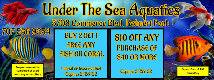  Profile Photos of Fish Store | Fish Tanks | Freshwater & Saltwater Fish 5708 Commerce Blvd - Photo 9 of 23