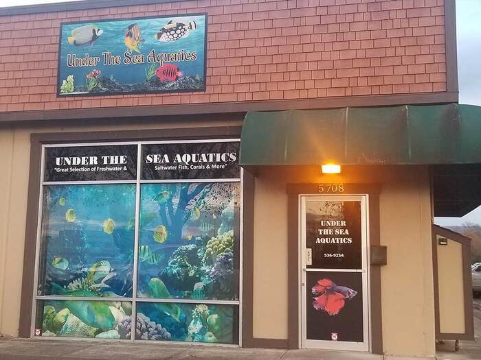  Profile Photos of Fish Store | Fish Tanks | Freshwater & Saltwater Fish 5708 Commerce Blvd - Photo 4 of 23