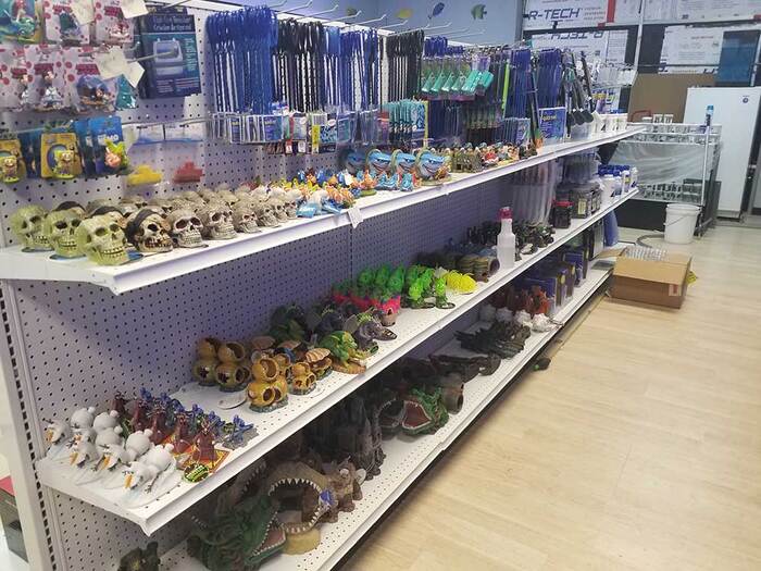  Profile Photos of Fish Store | Fish Tanks | Freshwater & Saltwater Fish 5708 Commerce Blvd - Photo 3 of 23