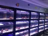  Fish Store | Fish Tanks | Freshwater & Saltwater Fish 5708 Commerce Blvd 