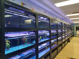  Fish Store | Fish Tanks | Freshwater & Saltwater Fish 5708 Commerce Blvd 