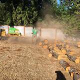 Stump Removal Northwest Inc, Meridian