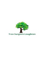 Tree Surgeon Loughton, Loughton