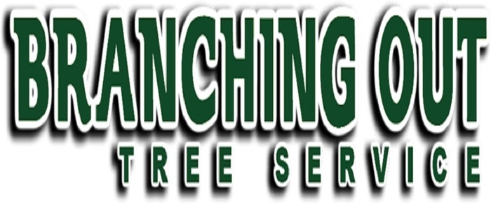  Profile Photos of Tree Cutting & Trimming Ronkonkoma 877 Main St Suite 456, - Photo 1 of 1