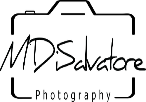 Profile Photos of M. DiSalvatore Photography 40 John St - Photo 1 of 5