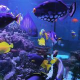  JKFish 1152 State Highway 10, Unit 5 