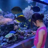  JKFish 1152 State Highway 10, Unit 5 
